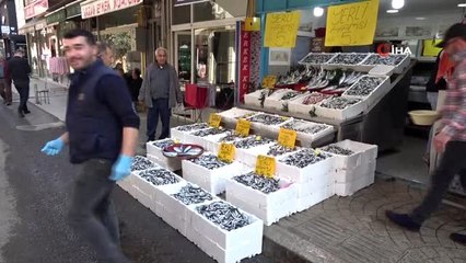 - Hamsi 5 liraya düştü