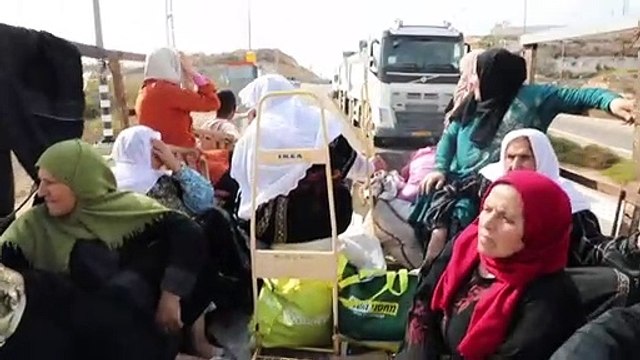 معاناة قطف الزيتون من الحقول الفلسطينية الواقعة وراء الجدار الإسرائيلي