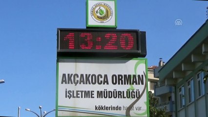 Akçakoca'da kasım ayında denize girdiler - DÜZCE