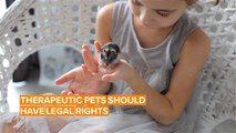 British activists want their therapeutic pets to have equal rights