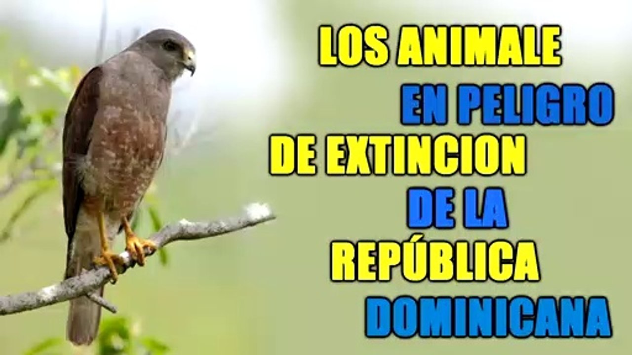 Los Animales en Peligro de Extincion de la República Dominicana