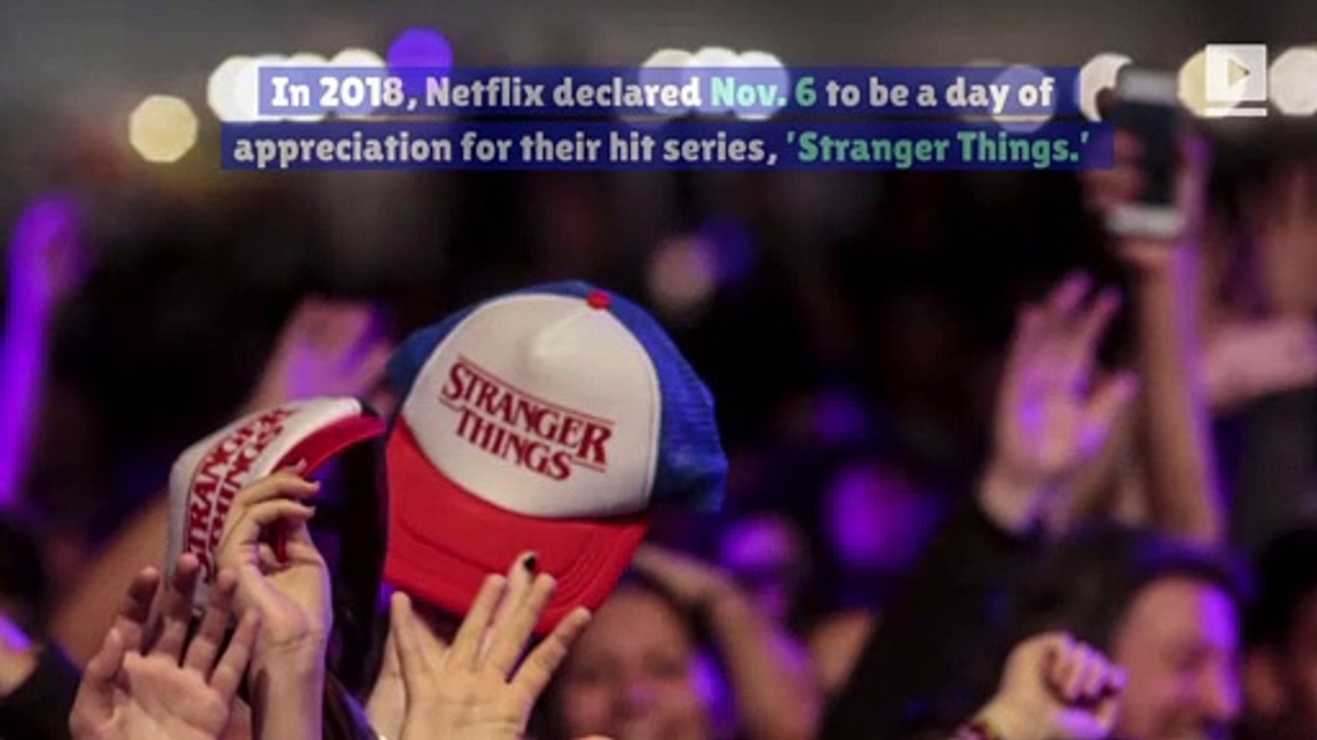Fans Celebrate Stranger Things Day Video Dailymotion