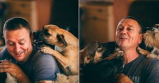 Cet homme au grand cœur a sauvé plus de 1000 chiens errants et en héberge encore plus de 700 dans son refuge
