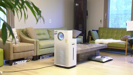 공기청정기, 이렇게 쓰면 더 효율적입니다 / YTN