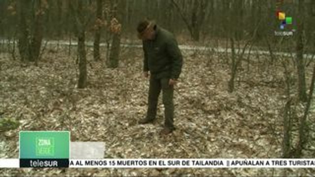 Zona Verde: Impacto ambiental de conflictos armados