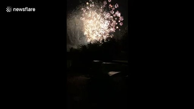 Horses left visibly distressed after loud fireworks let off near stable in UK