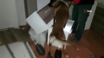 Elazığ'da uyuşturucu operasyonları: 2 tutuklama