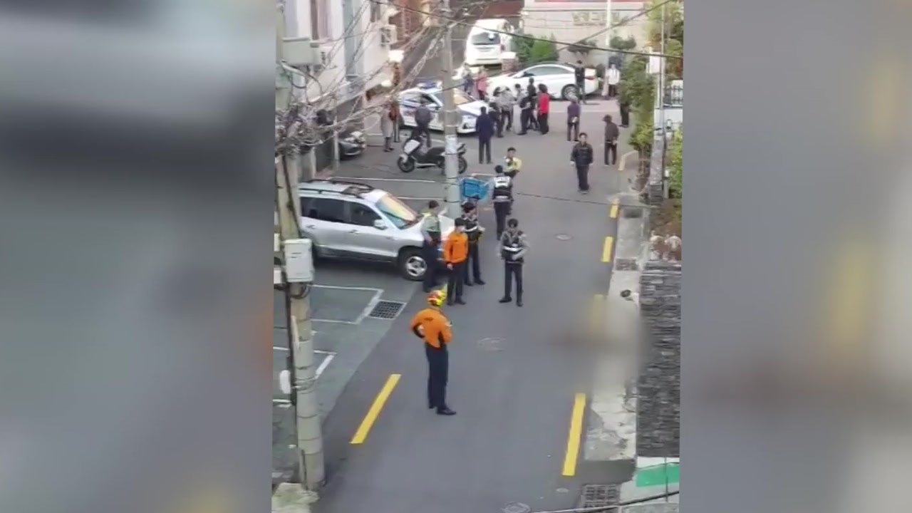 부산서 멧돼지 잇단 출몰...3마리 사살·로드킬 / YTN