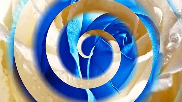 Bom Dia Especial - Mensagem Linda de Bom Dia