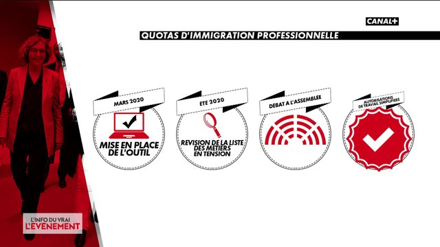 Quotas d'immigration: le gouvernement veut instaurer des quotas sur l'immigration professionnelle