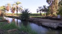 فيديو: مزارعون مصريون يخشون تفاقم أزمة المياه بسبب سد النهضة