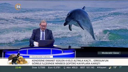 Yunus balığını kurtardılar