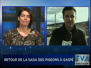 06 Novembre TVA Nouvelles 12h CHAU
