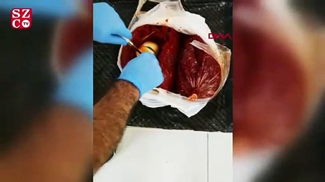 'Esrar'ı, salçanın içerisine gizlemiş