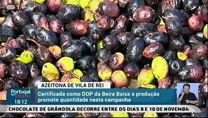 Conheça  o moderno lagar de Azeite de Vila De Rei