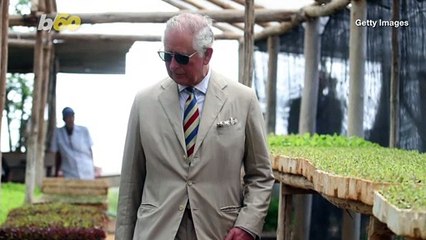 Prince Charles' Aston Martin Runs On Fuel Made From Wine And Cheese