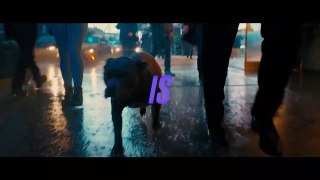 John Wick- Chapter 3 - Parabellum (2019 Movie) New Trailer – Keanu Reeves, Halle Berry