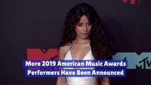 Who Is Performing At The 2019 American Music Awards