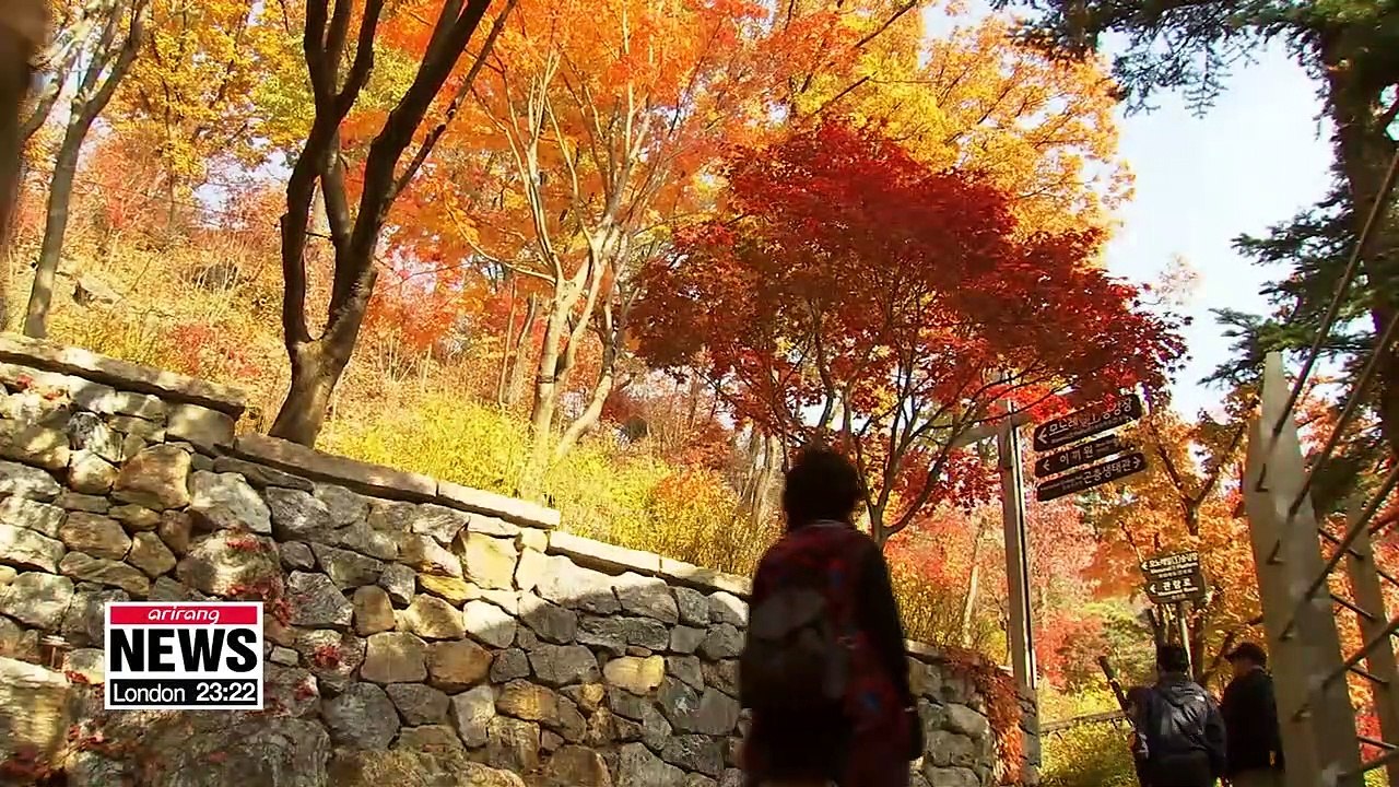 Hwadam Botanic Garden where people can enjoy 400 types of maple trees