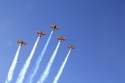 Support the Phoenix 2019 Veterans Day Parade