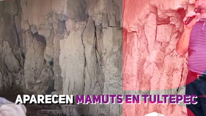 Aparecen Mamuts en Tultepec