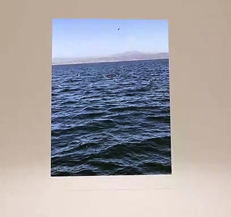 Mar