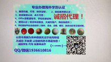扣微1936610816西班牙制作原版假文凭假毕业证马拉加大学高仿学位证书毕业证成绩单雅思托福成绩单留信认证使馆公证马拉加大学Universidad de Málaga Diploma
