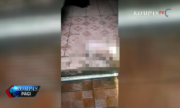 6 Anak Anjing Pitbull Disiram Cairan Kimia