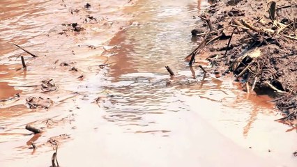 मेडिटेशन क्या है? आसान हिंदी में पूरी जानकारी 🧘‍♂️