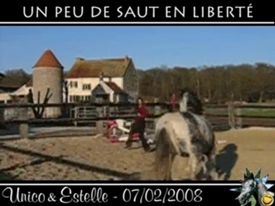 Unico, saut en liberté, le 07/02/2008