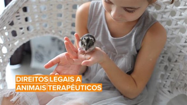 Ativistas britânicos querem que seus animais terapêuticos tenham direitos