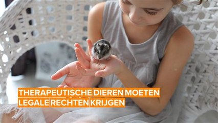 Alle therapeutische dieren moeten rechten krijgen