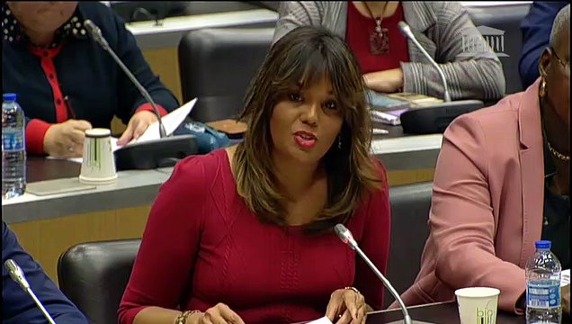 Commission des affaires économiques et commission des affaires culturelles : Projet de loi de programmation de la recherche - Mercredi 6 novembre 2019