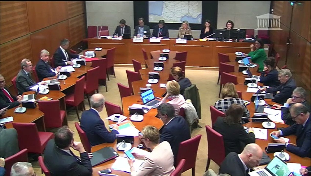 Commission du développement durable : Audition de membres du Haut Conseil pour le climat - Mercredi 6 novembre 2019