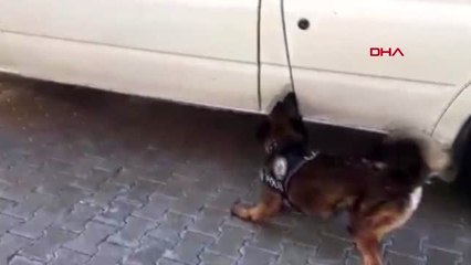 Van'da park halindeki minibüste 269 kilo eroin ele geçirildi