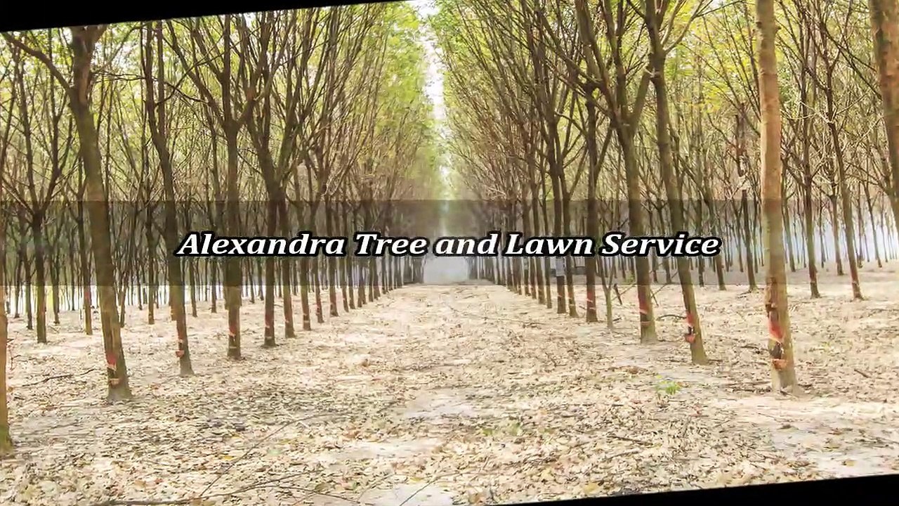 Alexandra Tree and Lawn Service - (914) 296-0367