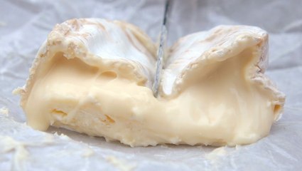 How traditional French Camembert is made using raw milk
