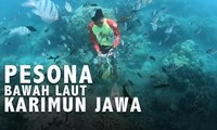 Pesona Bawah Laut Karimun Jawa