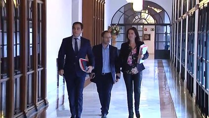 Chaves llega a la comisión de la Faffe en el Parlamento