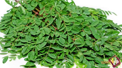 தாய்ப்பாலை அதிகரிக்கும் உணவு வகைகள்..!