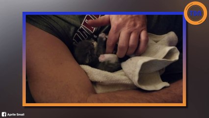 Il sauve un chaton trop mignon sur son lieu de travail !