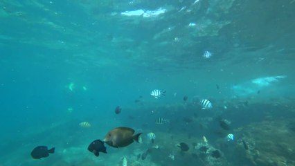 Snorkeling à Padangbai au  Blue Lagoon et Keramba LA