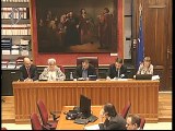Roma - Audizioni su guardie giurate all'estero (07.11.19)
