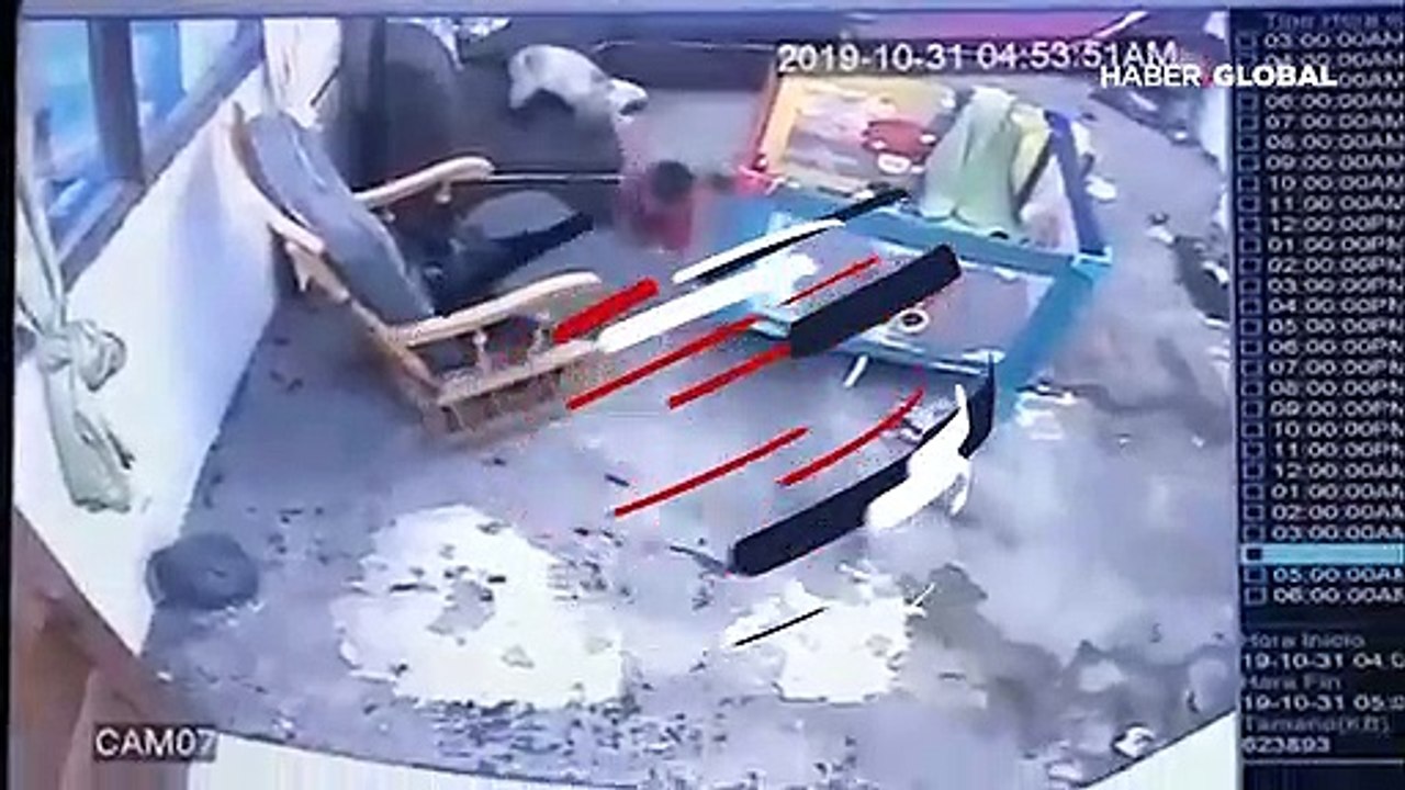 Kahraman kedi minik bebeğin hayatını böyle kurtardı