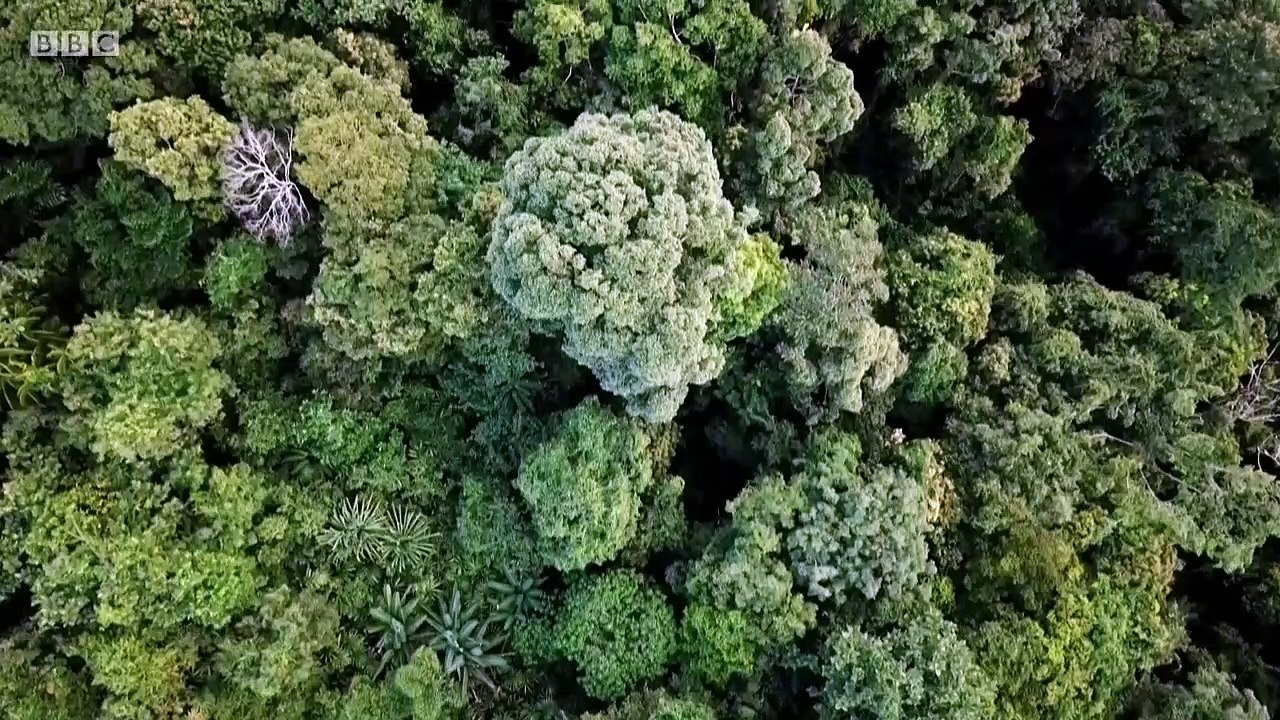 Equator from the Air episode 4 - SE Asia