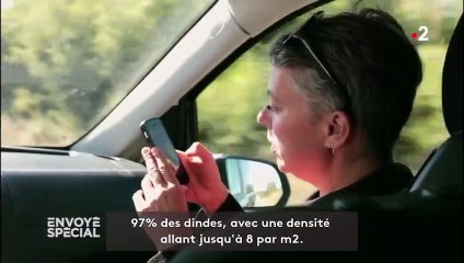 Avec "du filet de porc à 4 euros, tu manges de la merde !", un boucher et une végane échangent dans "Envoyé spécial"