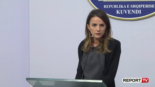 Report TV - Hajdari: Qëllimi i opozitës parlamentare është ndryshimi i sistemit