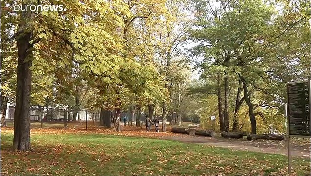 30 ans de la chute du mur de Berlin : l'héritage de l'ex-RDA sur l'émancipation des femmes