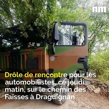 Militaires coincés, harcèlement scolaire, huile d'olive à Sanary: voici votre brief info de jeudi après-midi