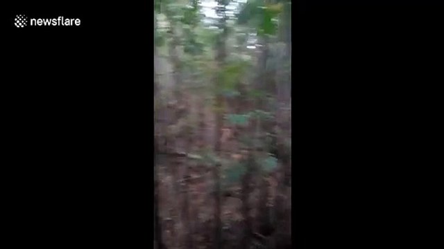 'Abandoned' baby boy found in park in north Pakistan prompts plea for information on social media